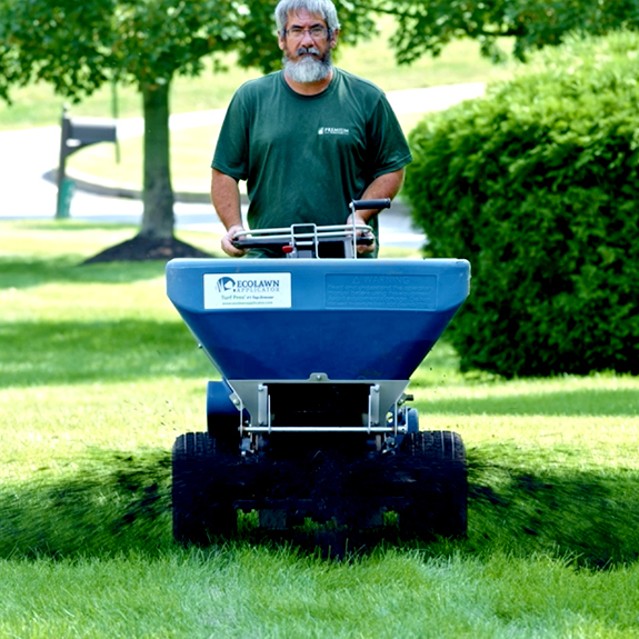 Top dressing for healthy lawn